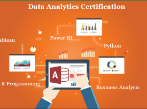 Job Oriented Data Analyst Course in Delhi, 110060. Online Live Data