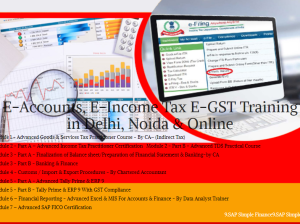 Accounting Course in Delhi,110092, [GST Update 2024] by SLA